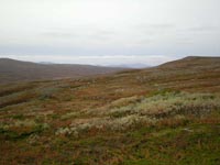 Fjällen2008